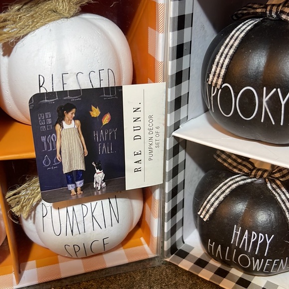 Rae Dunn Pumpkin Decor Bundle - Picture 7 of 8